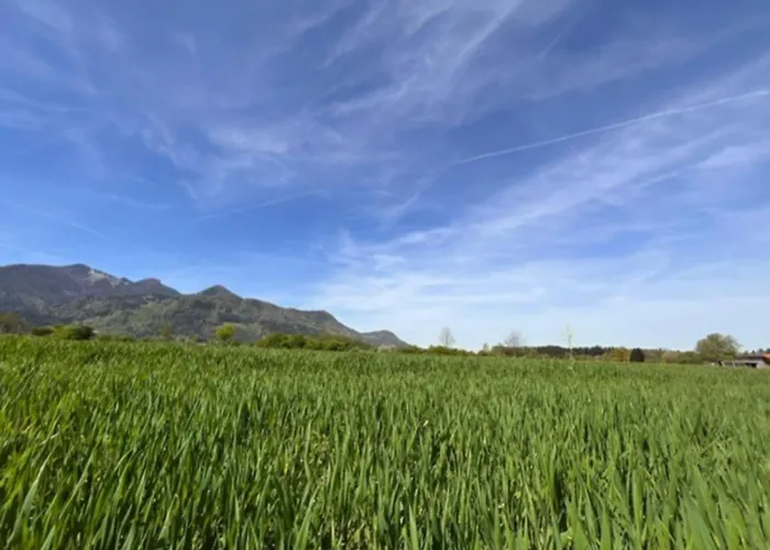 Alpen View * グラッサウ